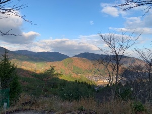 野村　3