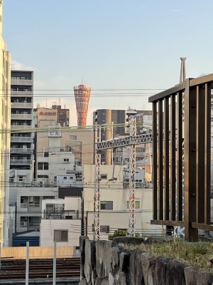 植嶋④