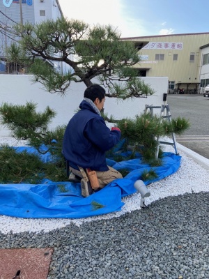 植木屋さん