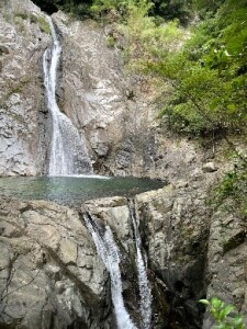 ②