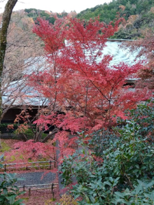 勝尾寺7