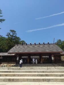 ブログ5.20①