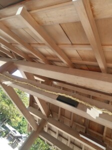 ブログ5.20③