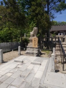 ブログ5.20②