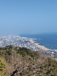 画像5