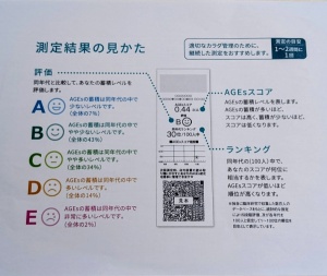 測定結果表