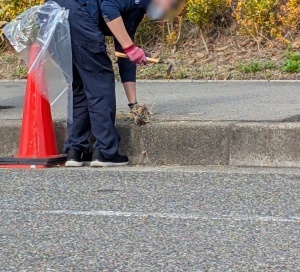 PXL_20251111_044814234