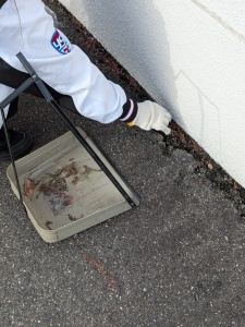 PXL_20251111_044844952