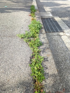 PXL_20251111_045616771