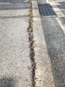 PXL_20251111_052536368