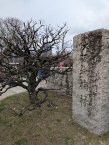 PXL_20260215_052159903