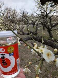 PXL_20260215_052634350