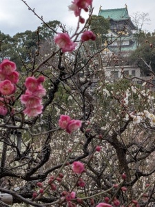 PXL_20260215_053625837